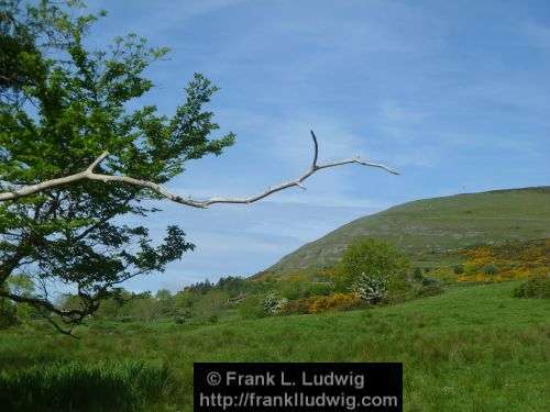 Around Knocknarea